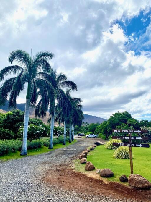 Campervan/Maui Hosted By Go Camp Maui 基黑 外观 照片